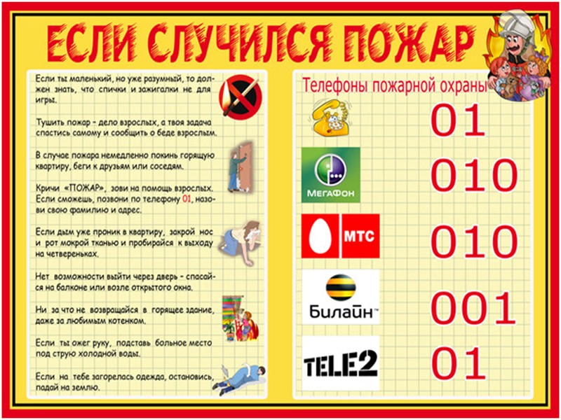 Изображения.