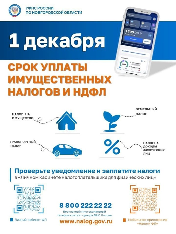 Оплата  имущественных налогов физическими лицами за 2024 год.